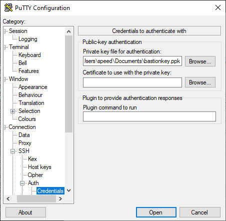 Credentials options section of PuTTY window